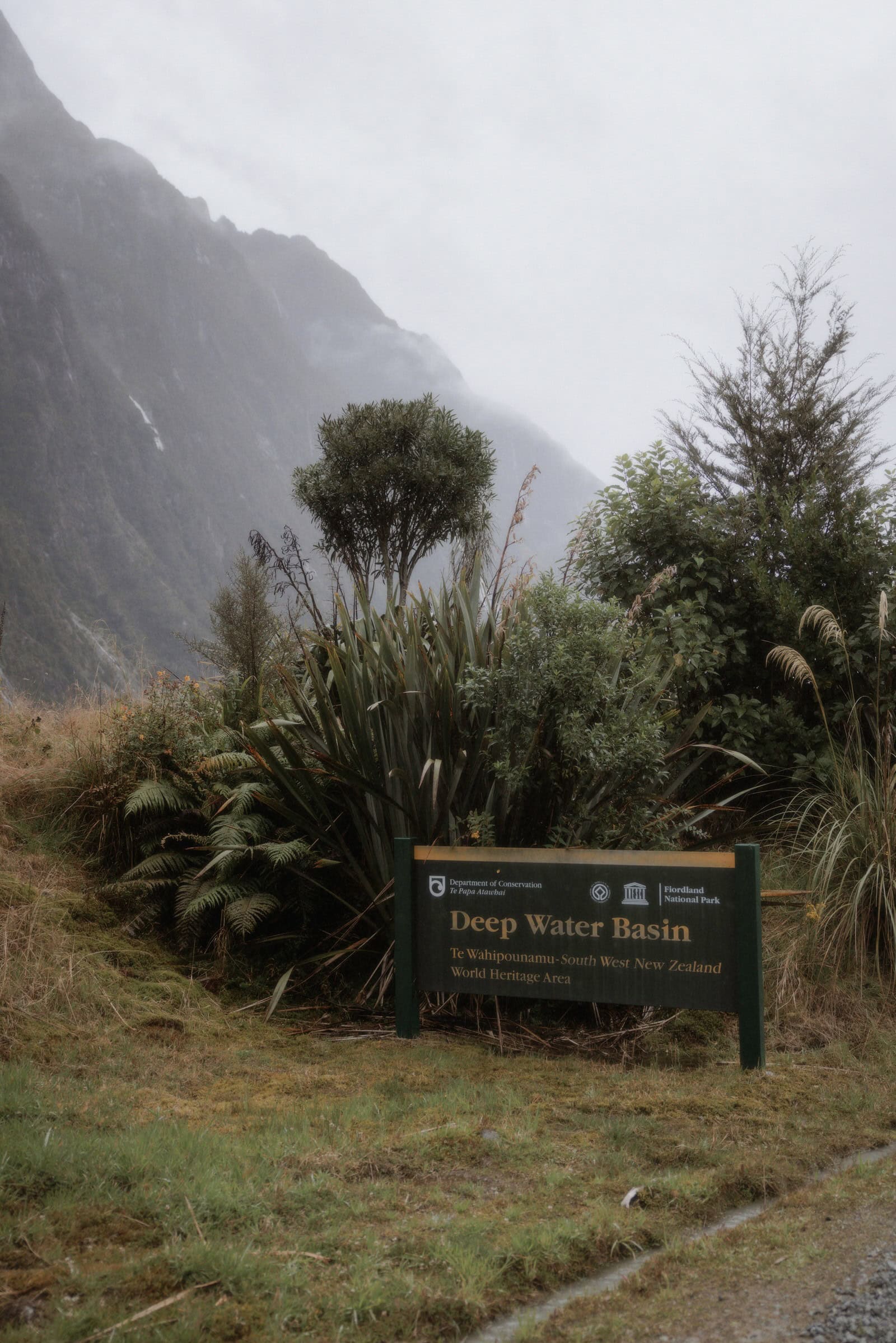 Milford Sound Elopement, Milford Sound Elopement &#8211; Katie and James