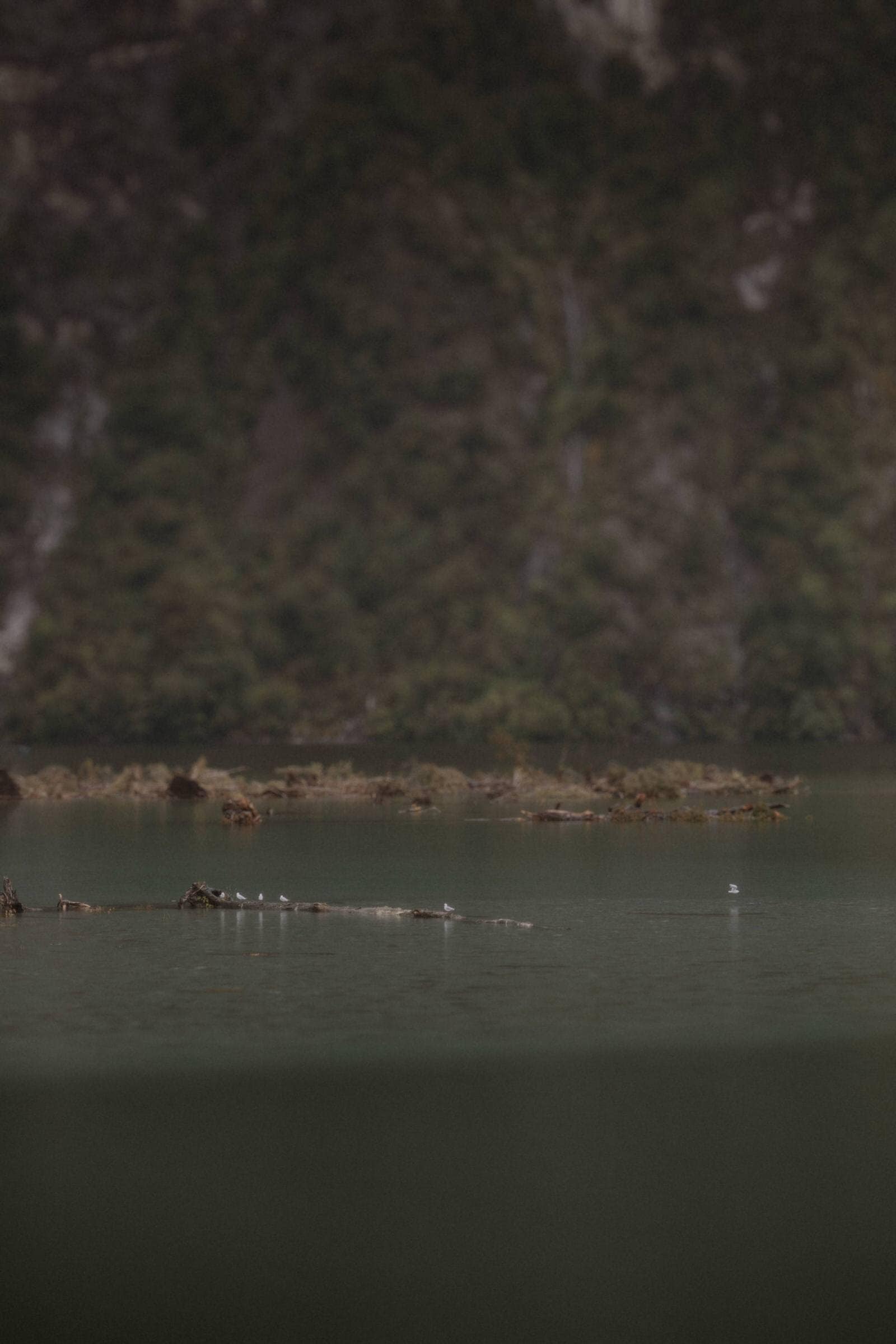 Milford Sound Elopement, Milford Sound Elopement &#8211; Katie and James