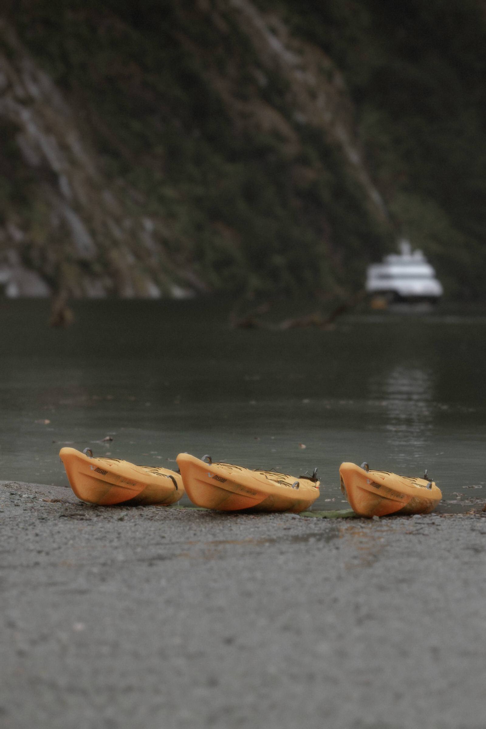 Milford Sound Elopement, Milford Sound Elopement &#8211; Katie and James