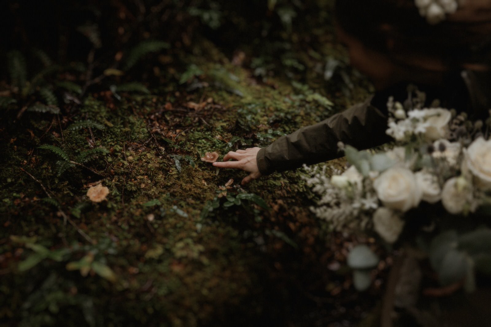 Milford Sound Elopement, Milford Sound Elopement &#8211; Katie and James