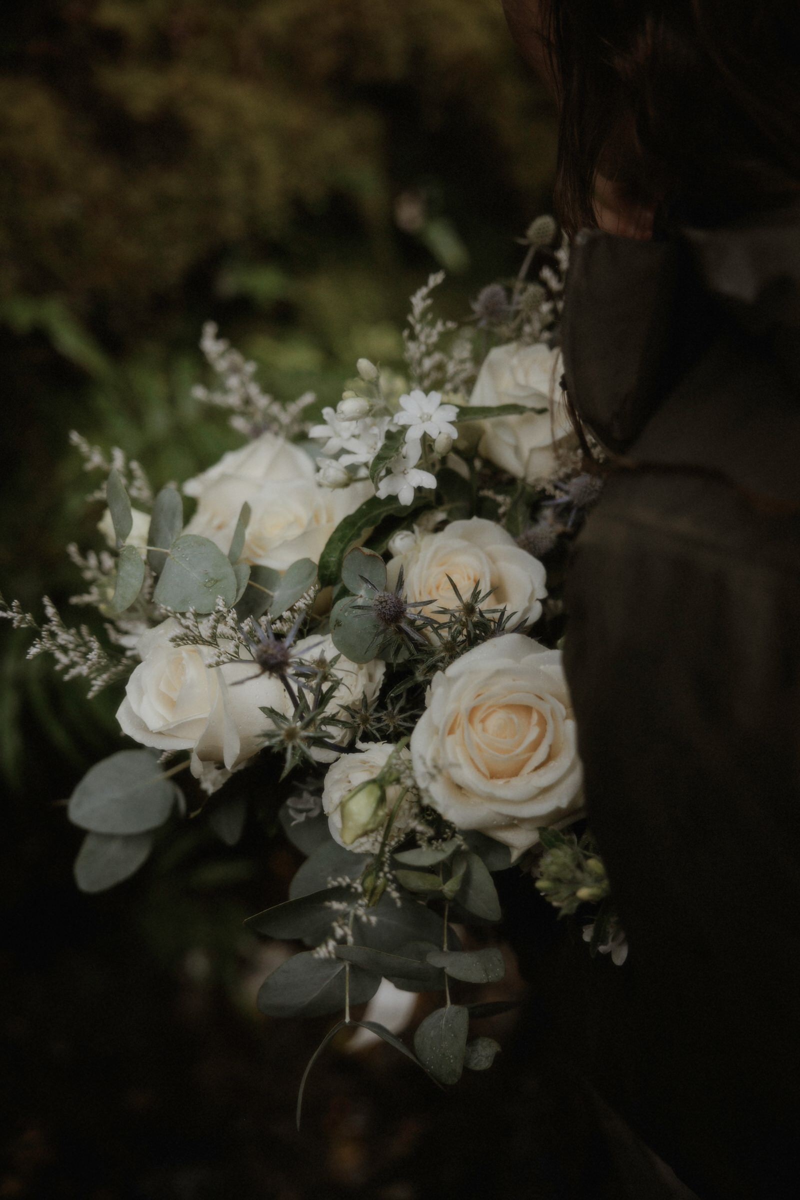 Milford Sound Elopement, Milford Sound Elopement &#8211; Katie and James