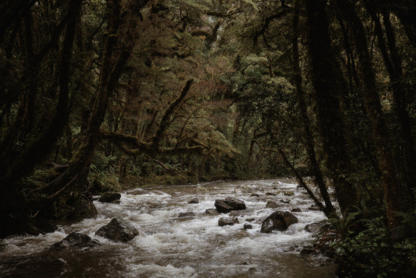 Milford Sound Elopement, Milford Sound Elopement &#8211; Katie and James