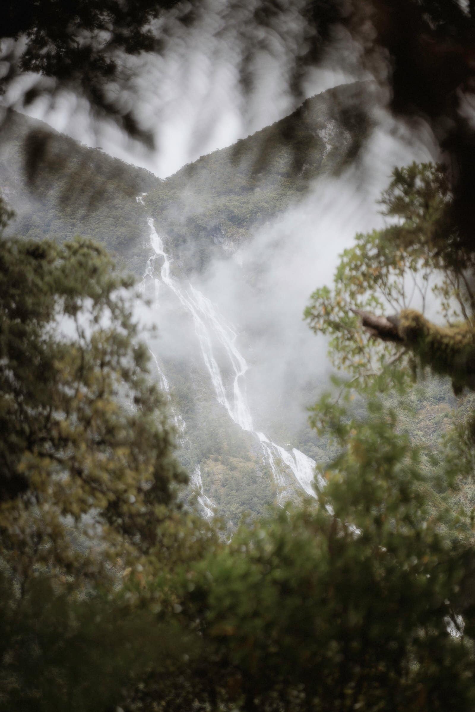 Milford Sound Elopement, Milford Sound Elopement &#8211; Katie and James