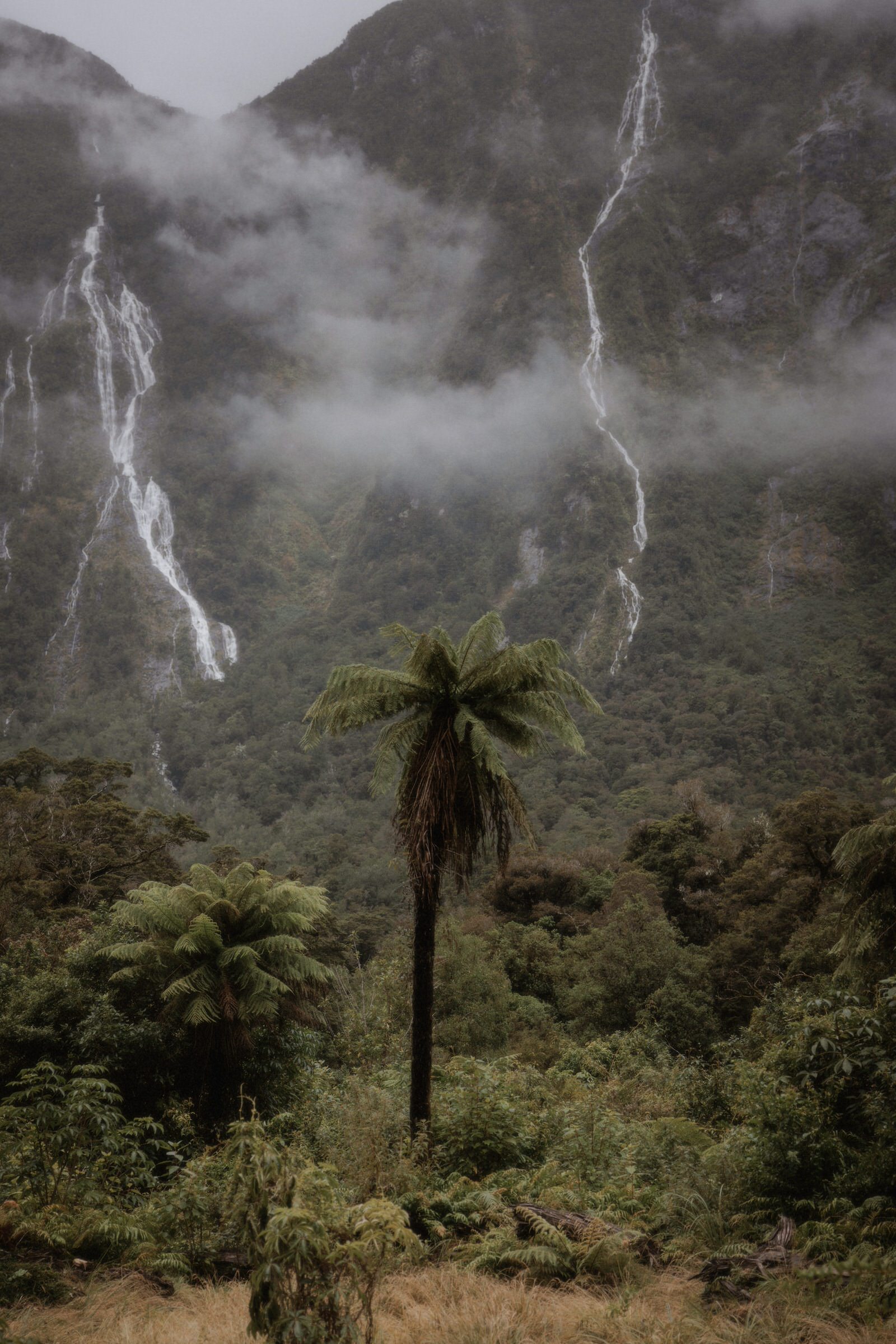 Milford Sound Elopement, Milford Sound Elopement &#8211; Katie and James