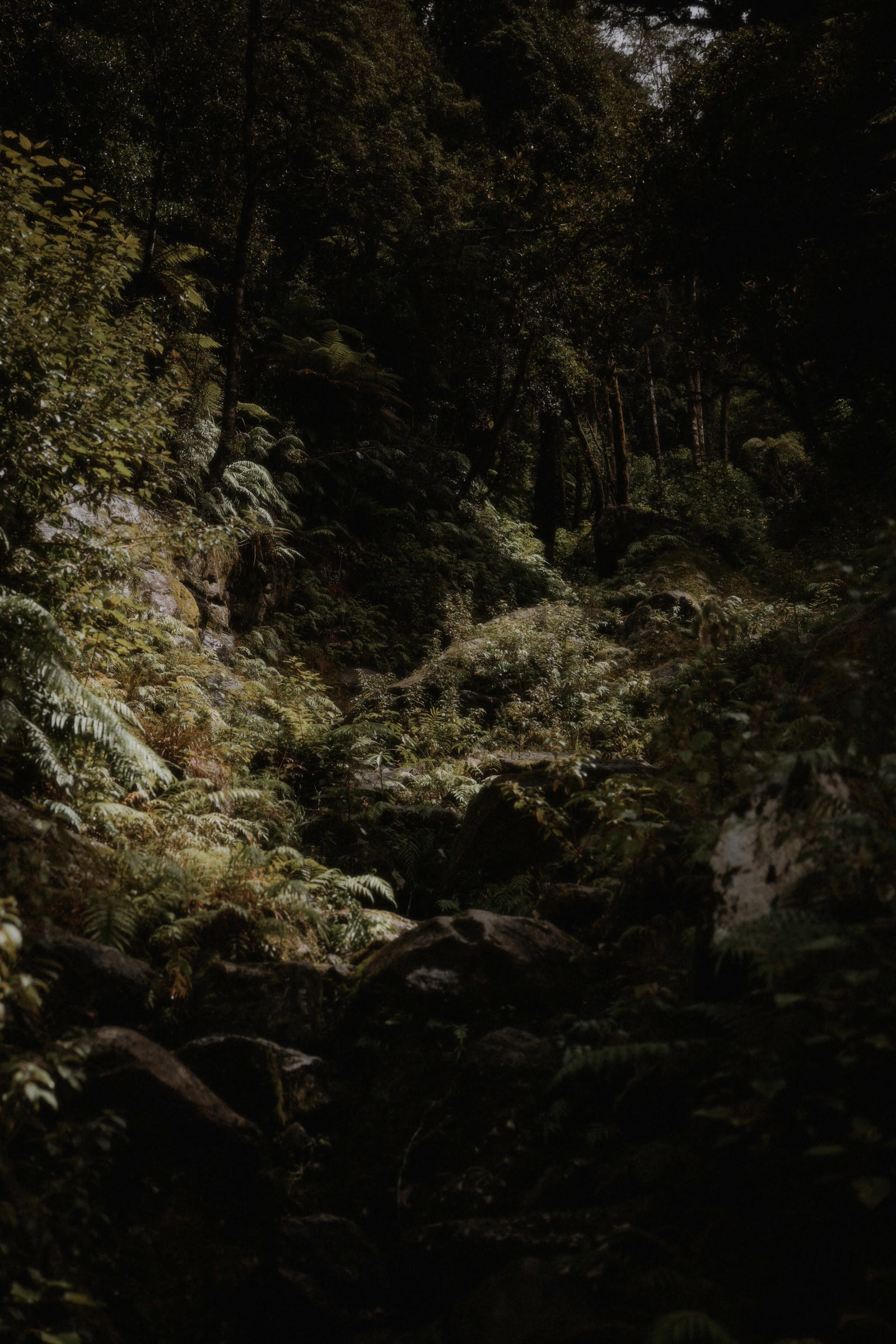 Milford Sound Elopement, Milford Sound Elopement &#8211; Katie and James