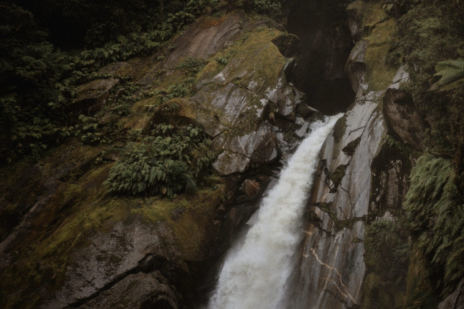 Milford Sound Elopement, Milford Sound Elopement &#8211; Katie and James