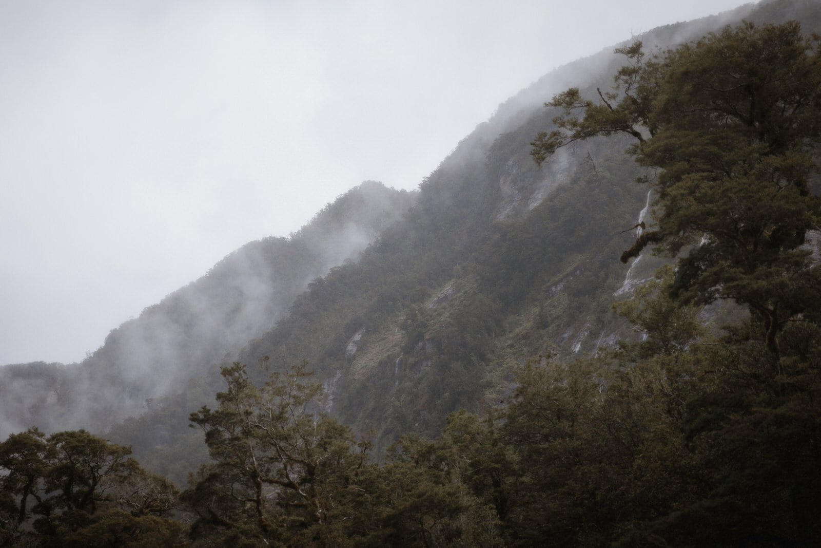 Milford Sound Elopement, Milford Sound Elopement &#8211; Katie and James