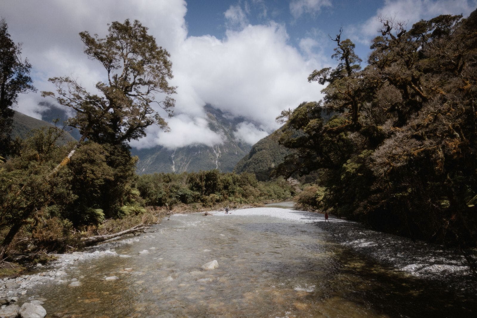 Milford Sound Elopement, Milford Sound Elopement &#8211; Katie and James