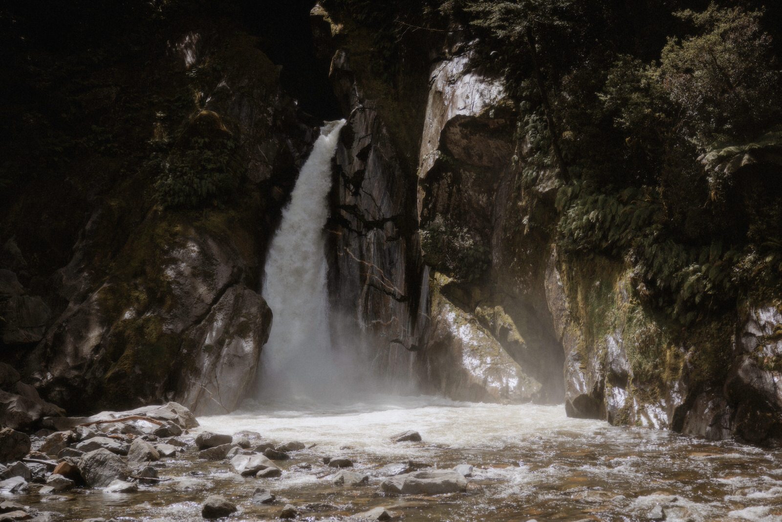 Milford Sound Elopement, Milford Sound Elopement &#8211; Katie and James