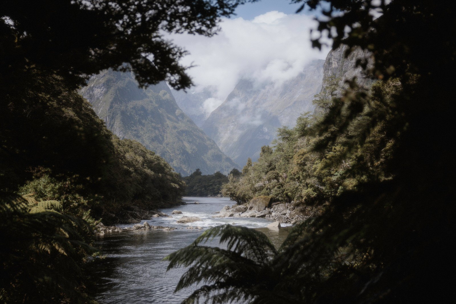 Milford Sound Elopement, Milford Sound Elopement &#8211; Katie and James