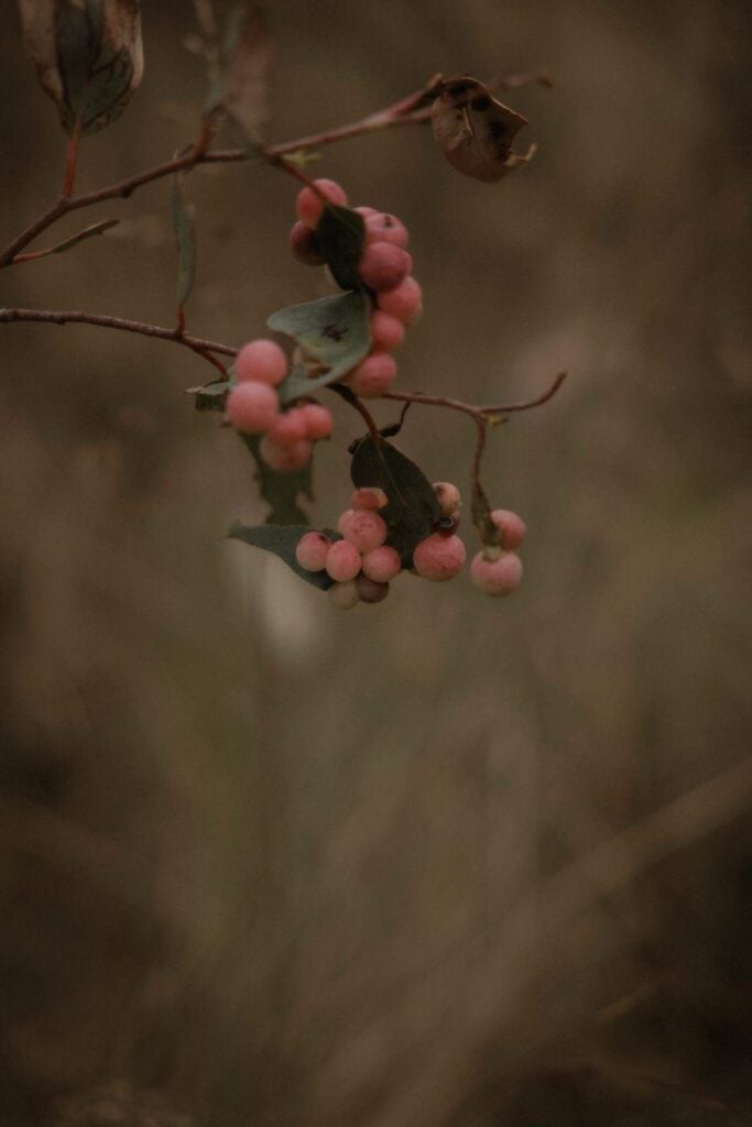 Namadgi National Park Engagement, Namadgi National Park Engagement &#8211; Ellie and Lachlan