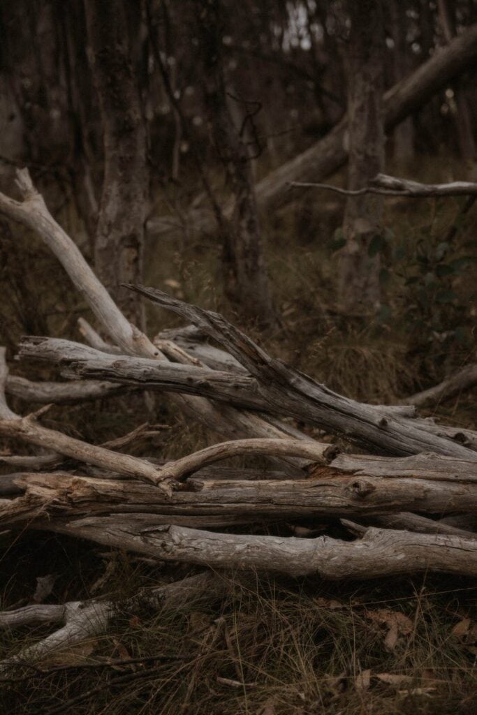 Namadgi National Park Engagement, Namadgi National Park Engagement &#8211; Ellie and Lachlan