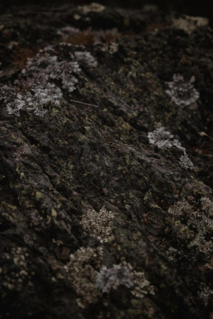 Namadgi National Park Engagement, Namadgi National Park Engagement &#8211; Ellie and Lachlan