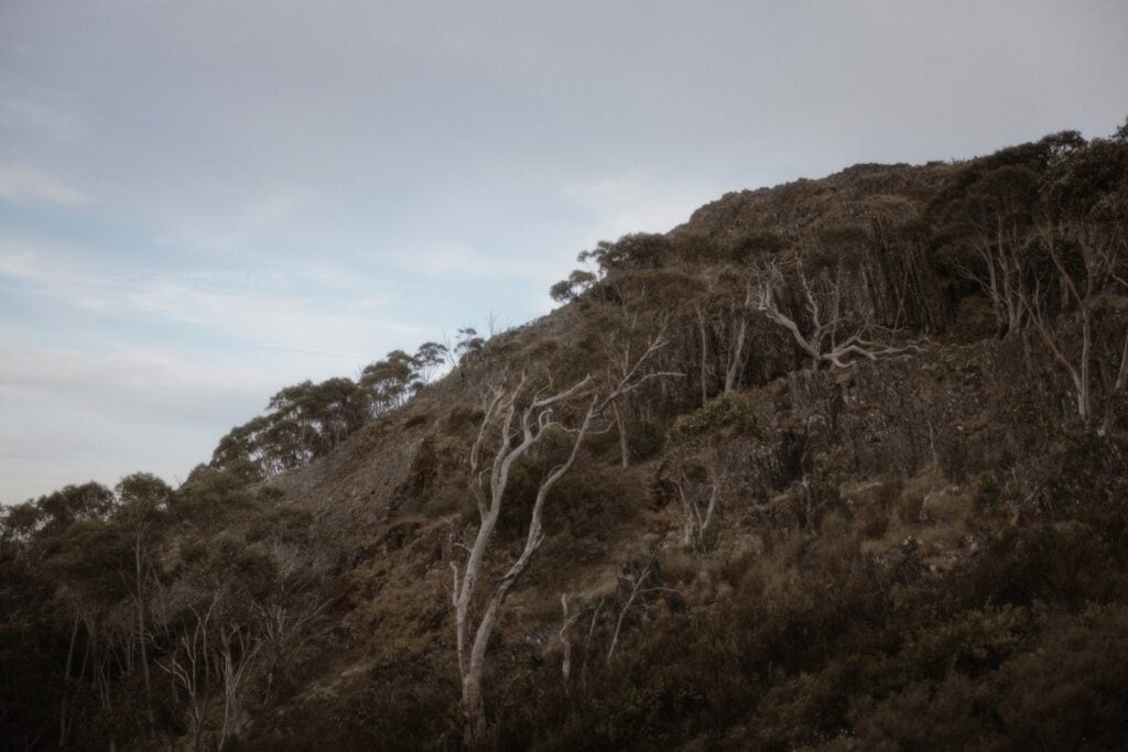 Namadgi National Park Engagement, Namadgi National Park Engagement &#8211; Ellie and Lachlan