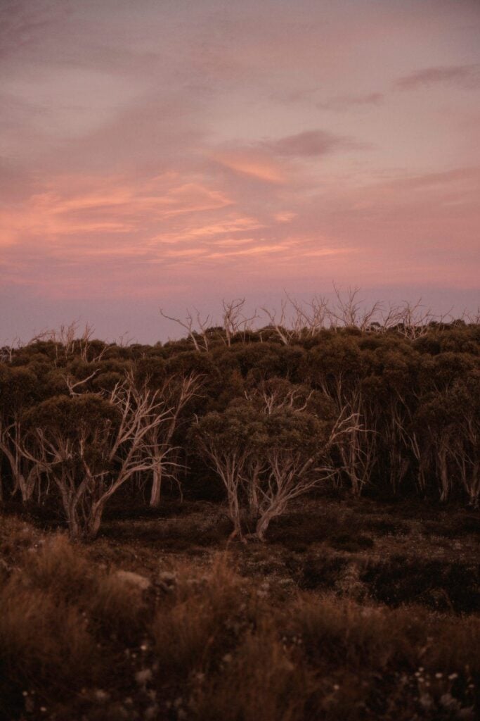 Namadgi National Park Engagement, Namadgi National Park Engagement &#8211; Ellie and Lachlan